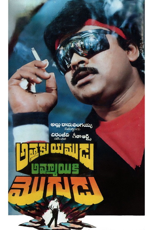 Athaku Yamudu Ammayiki Mogudu poster