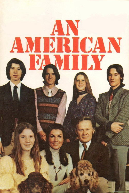 An American Family poster