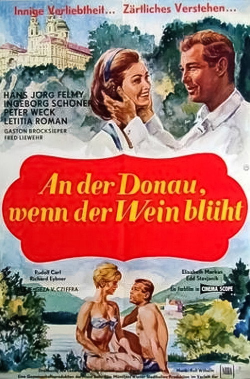 When the Grapevines Bloom on the Danube poster