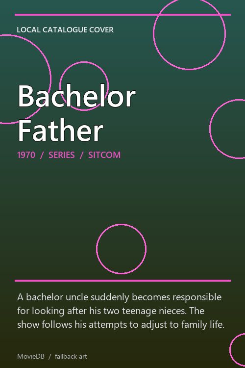 Bachelor Father poster
