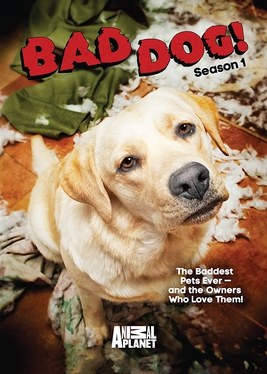 Bad Dog! poster