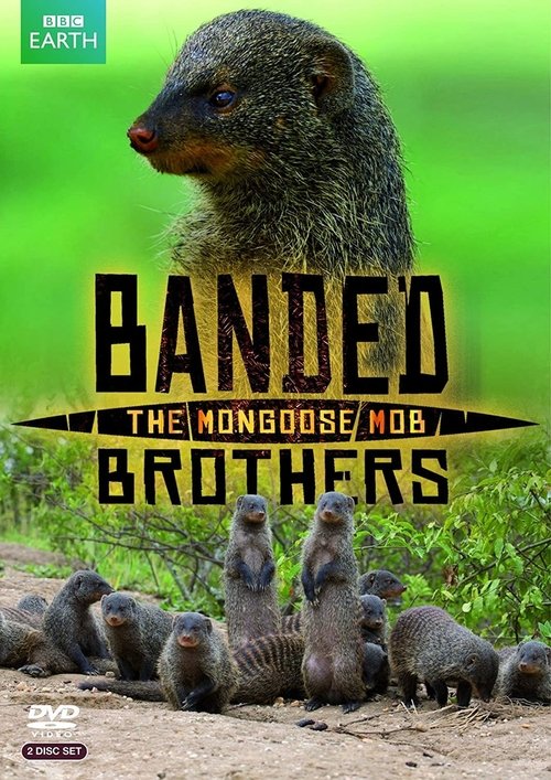 Banded Brothers poster