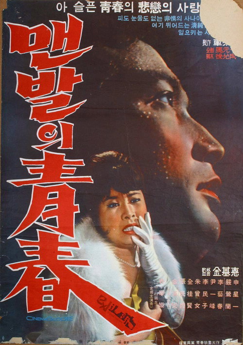 Barefooted Youth poster