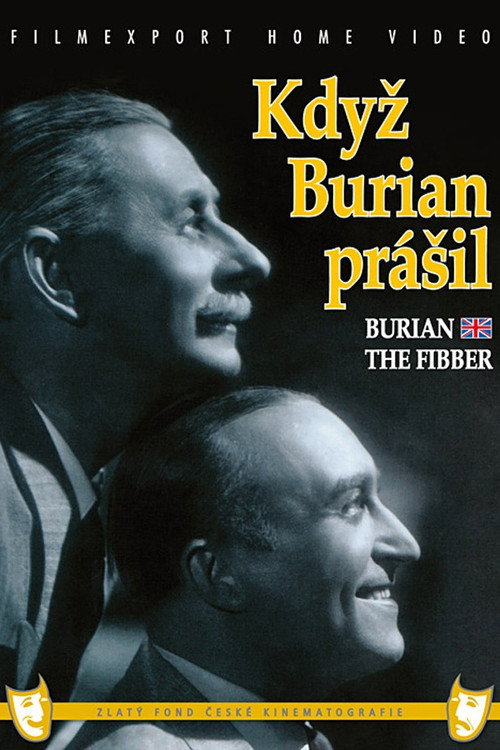 Baron Prášil poster