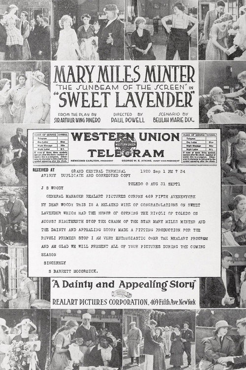 Sweet Lavender poster