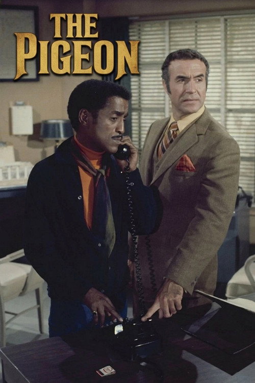 The Pigeon poster