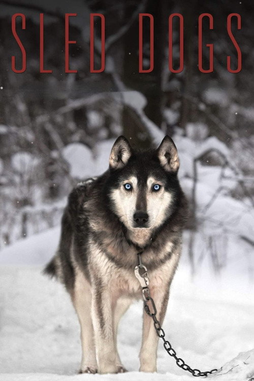 Sled Dogs poster