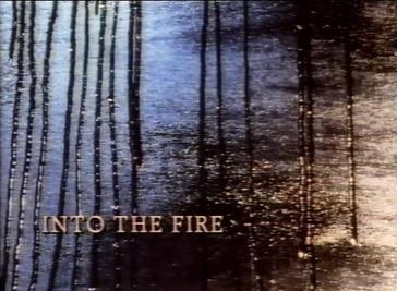 Into the Fire poster