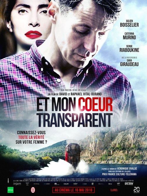 Her Secret Life poster