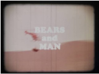 Bears and Man poster