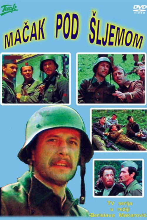 Mačak pod šljemom poster