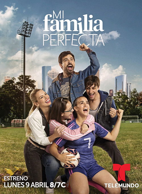 My Perfect Family poster
