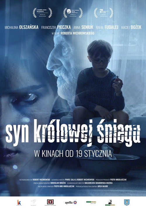 The Son of Snow Queen poster