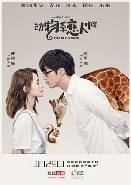 Tree in the River poster