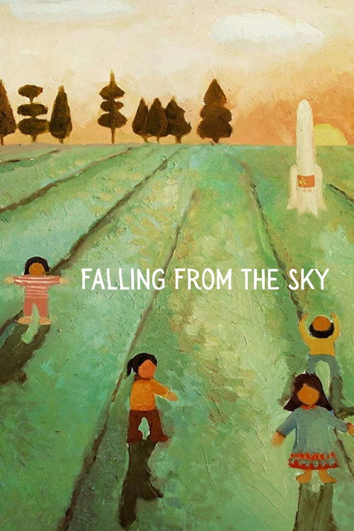 Falling from the Sky poster