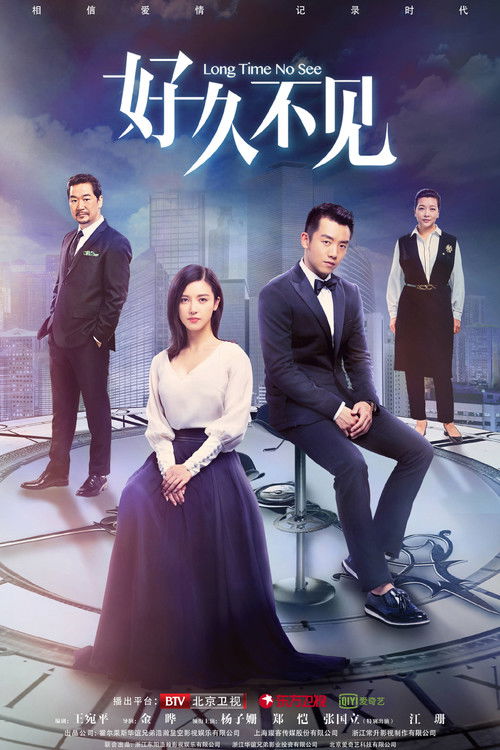 Long Time No See poster