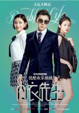 Double Life poster