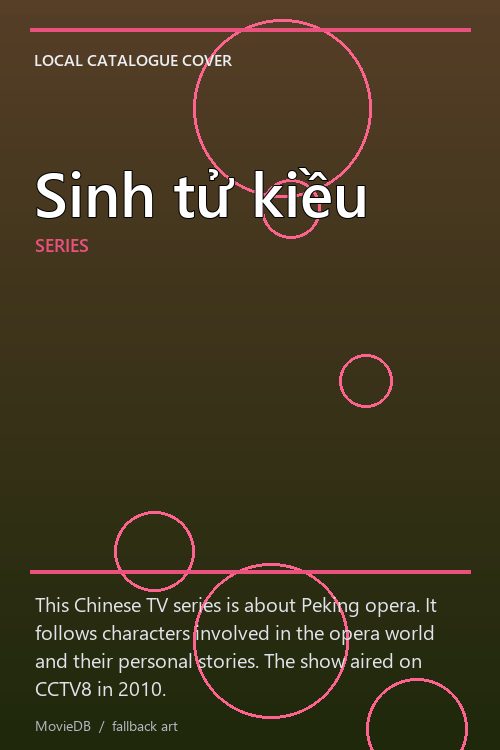 Sinh tử kiều poster