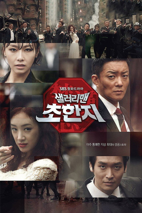 History of a Salaryman poster