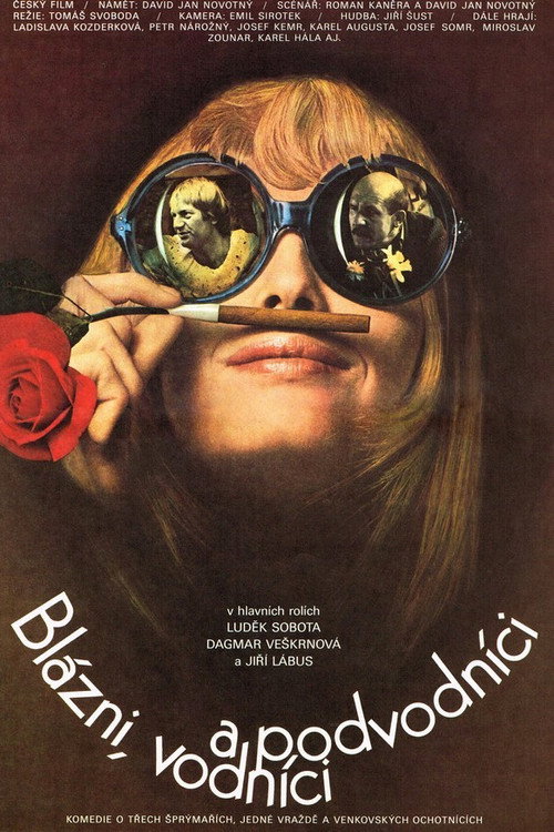 Blázni, vodníci a podvodníci poster