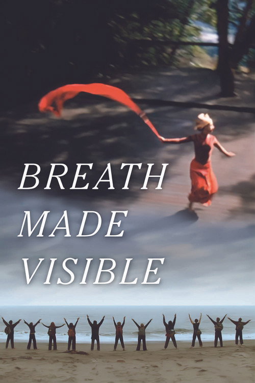 Breath Made Visible poster