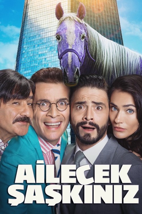 Ailecek Saskiniz poster