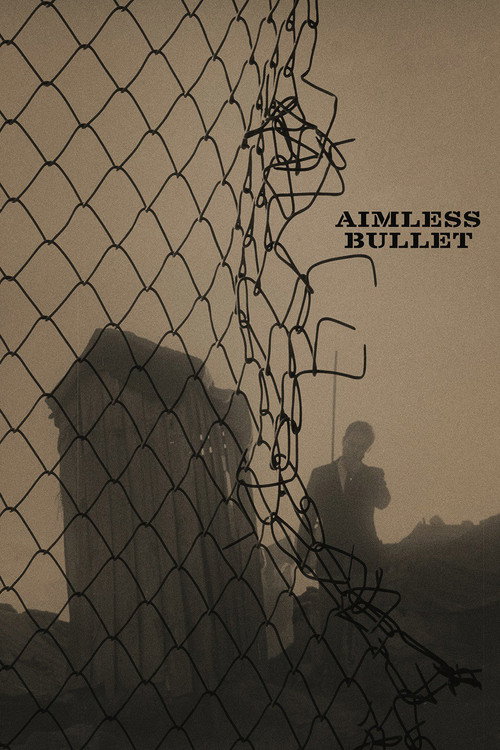 The Aimless Bullet poster