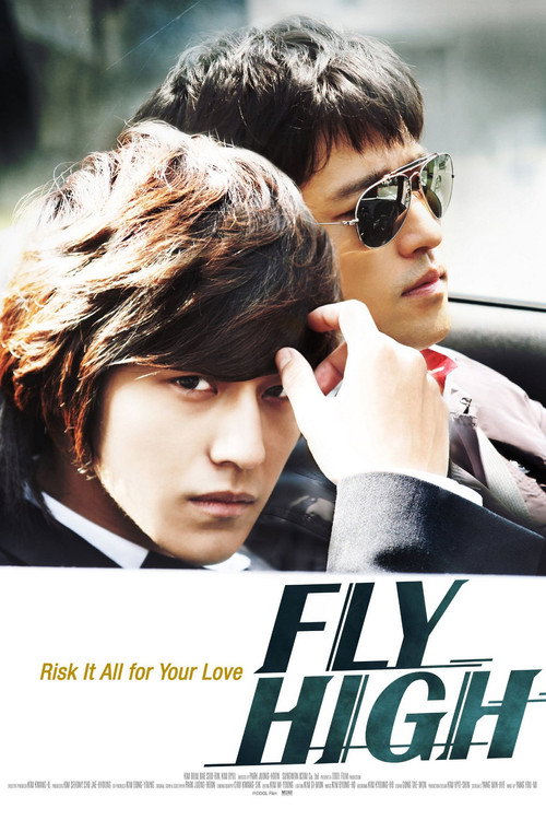 Flight poster