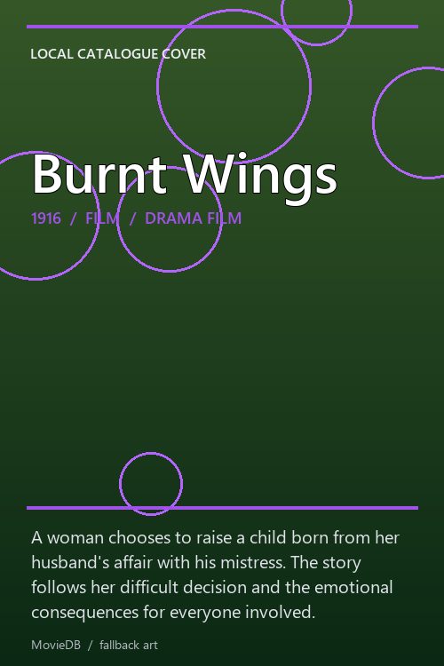 Burnt Wings poster