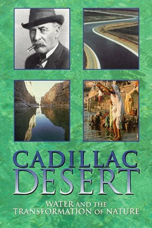 Cadillac Desert poster