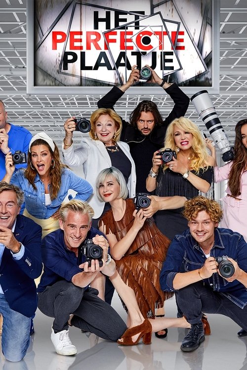 The Perfect Picture poster