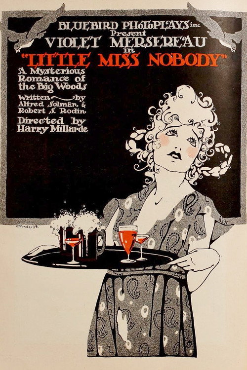 Little Miss Nobody poster