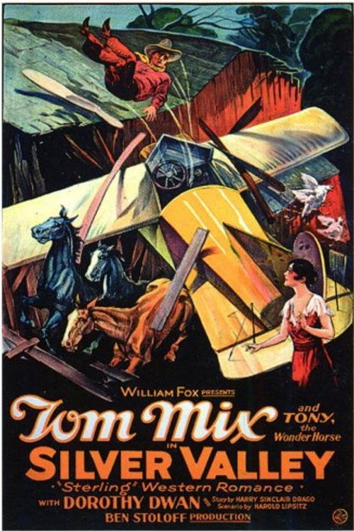 Silver Valley poster