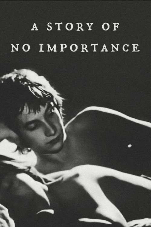 A History Without Importance poster