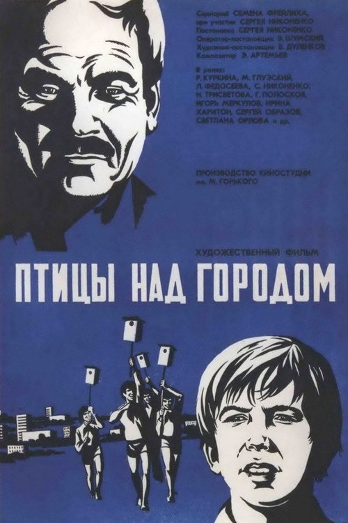 Birds over the City poster