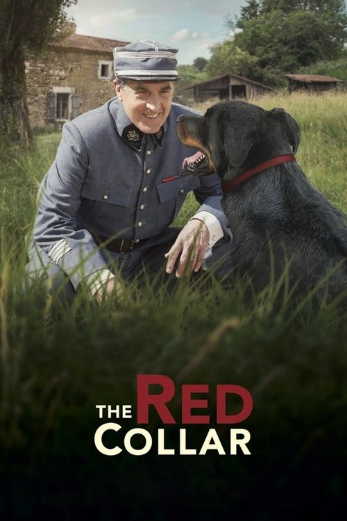 Le Collier rouge poster