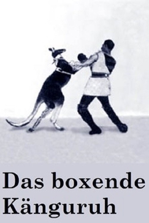 Boxing Kangaroo poster