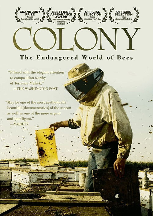 Colony poster