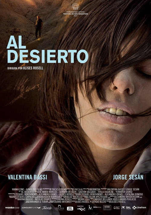 Al Desierto poster