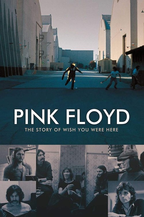 The Story of Wish You Were Here poster
