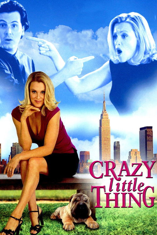 Crazy Little Thing poster
