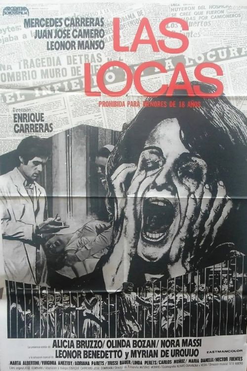 Crazy Women poster