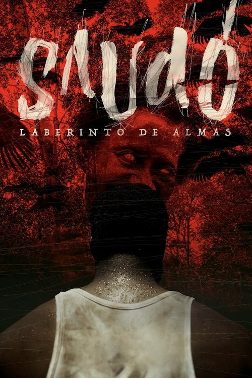 Saudó, laberinto de almas poster