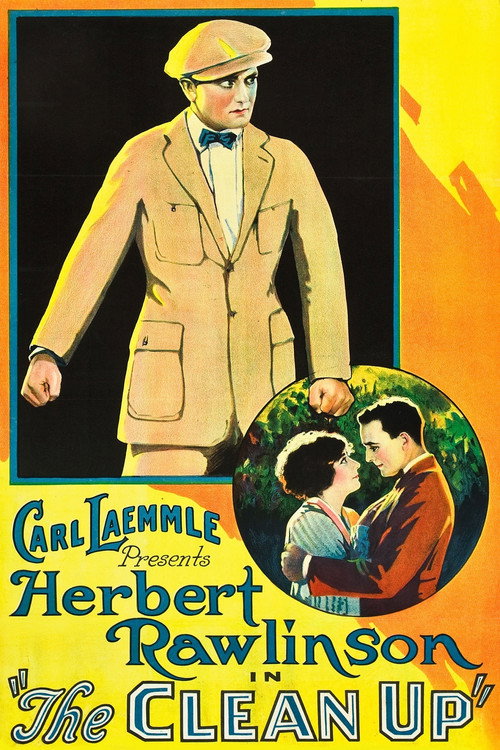 The Clean-Up poster