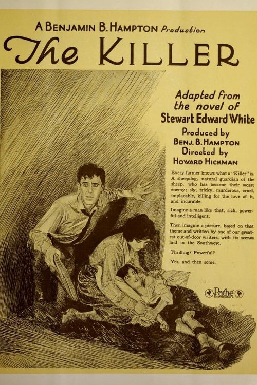 The Killer poster