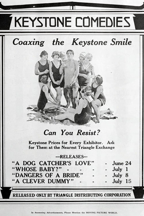 Dangers of a Bride poster