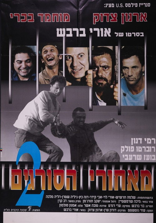Beyond the Walls 2 poster
