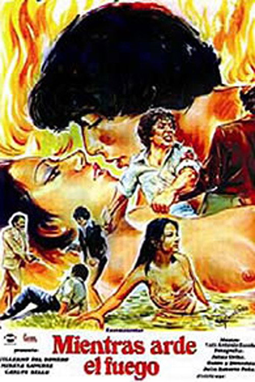While the Fire Lasts poster