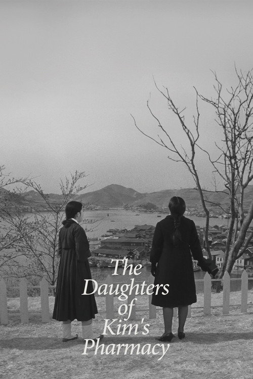Daughters of Pharmacist Kim poster