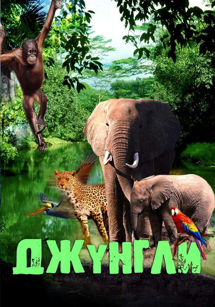 Deep Jungle poster